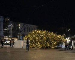 По сети разлетелись фото упавшей елки во Львове: в мэрии ответили