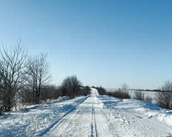 Снегопады отрезали семь сел на Прикарпатье, дорога на Тернопольщину — заблокирована