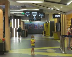 Три зрителя и торт в стаканчике. Как прошел первый кинопоказ в Киеве после карантина