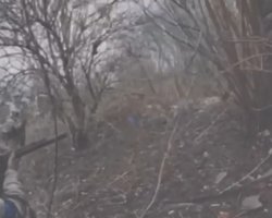 Бойцы ССО показали кадры боя с солдатами КНДР под Курском: как "подстрелили" 18 целей (видео)