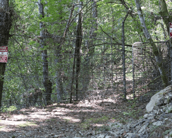 Тільки для обраних: інсайдер розповів невідомі деталі про таємний "Богемський клуб" (фото)