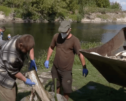 "Все живое умерло": из реки Сейм за день выловили 150 килограммов мертвой рыбы (видео)