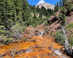 У період посухи щось позбавляє людей останньої води: що краде і без того дефіцитну вологу