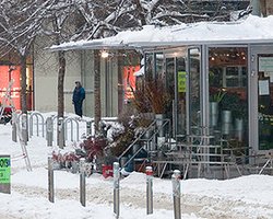 Австралийский остров Тасмания  накрыли аномальные снегопады