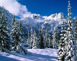 Погода на завтра: В Украине значительно похолодает. Ночью до -29