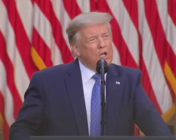 Трамп заявил, что разбираться с протестами придется силой