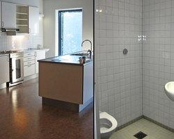 Норвежского террориста могут отправить в тюрьму люкс-класса