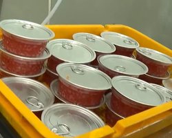 В РФ утверждают, что после переговоров с Путиным Уиткофф повез Трампу ящик красной икры