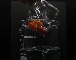 Растворяется в океане без следа: изобретение ученых из Японии может спасти Землю (видео)