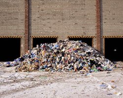 Немцы ежегодно выбрасывают 20 миллионов тонн лишней еды