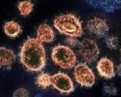 Новый штамм коронавируса в Британии: что о нем известно и как это повлияет на вакцины