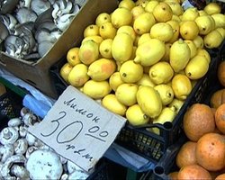 Запорожские чиновники попросили Кабмин проследить за ценами на "антивирусные" продукты