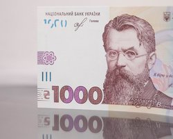 "Зимняя 1000": до когда можно подать заявление на денежную поддержку