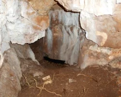 Вчені отримали ДНК з 11 000-річного поховання: що вдалося дізнатися (фото)