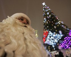 В Киеве начали устанавливать главную елку страны