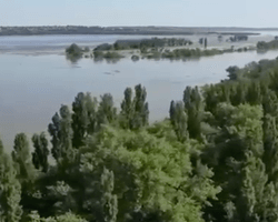 Три Національних парки підтоплені внаслідок підриву Каховської ГЕС, – Генпрокуратура (відео)