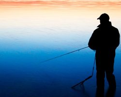 Наша Украина требует от ГПУ заняться "делом новых лозинских"