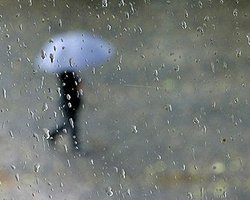 Дождливая погода сохранится еще неделю