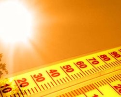 Жара: объявлена высшая степень пожарной опасности