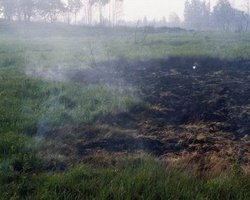 Жара: под Киевом тлеют торфяники