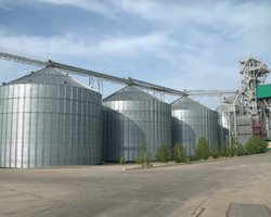 Держава проти бізнесу: як податкова не виконує судові рішення у справі агрохолдингу Prometey