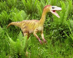 В Британии нашли скелет самого маленького динозавра