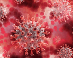 Исследование доказало высокую заразность британского штамма ковида