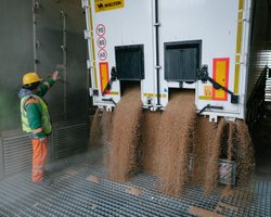 Железная дорога и Дунай: Африка получит дорогое украинское зерно из Европы, - аналитики