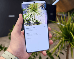 Ваш флагманский смартфон Samsung может иметь китайский дисплей: о какой модели идет речь
