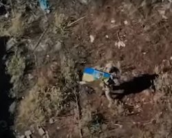 ВСУ не дали россиянам захватили село Александроград в Донецкой области: детали и видео операции