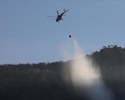 Власти Турции объявили о победе над лесными пожарами – спустя 15 дней борьбы