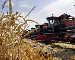 Пир перед едой. Подорожают ли продукты в Украине