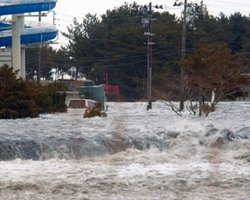 Потоком грязи в японском городе Сендаи унесло 200 человек (видео)