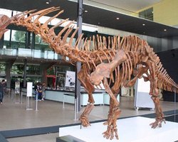 Найдено окончательное подтверждение гибели динозавров от метеорита