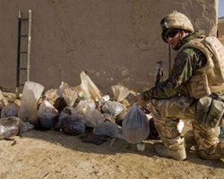 США и Россия провели антинаркотическую операцию в Афганистане 