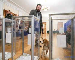 Не я бью — бюллетень бьет. Как голосовали кандидаты в президенты и простые украинцы