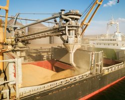 Польша, Венгрия и Словакия выйдут из координационной платформы по зерновым проблемам, — СМИ