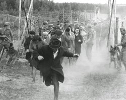 159 убийц: впервые опубликованы имена преступников, которые участвовали в расстрелах в Бабьем яру