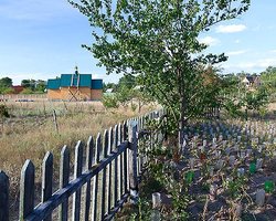 Украинцев хотят прописывать на дачах и огородах 