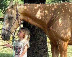 Дівчинка здивувала батьків, заїхавши на поні просто у свою кімнату (відео)