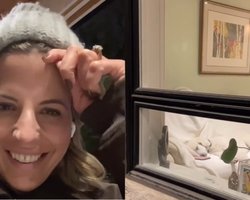 Женщина запретила пуделю спать на диване: дальше произошло то, чего никто не мог предвидеть