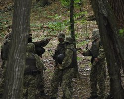"Порепетировали": в ОК "Юг" прокомментировали подрыв колеи партизанами в Херсонской области