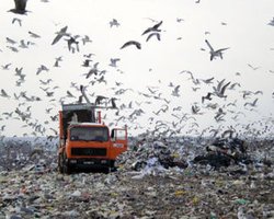 Латвийский чиновник назвал свою страну "помойкой для Европы"