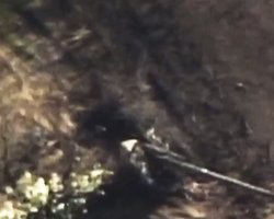 Бойцы ВСУ уничтожили гаубицу ВС РФ "Мста-Б" под Бахмутом (видео)