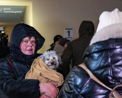 Украинцы связали деятельность ТЦК и нехватку демократии: детали