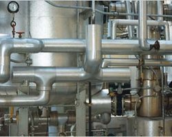 В Украине стали меньше выпускать мяса, молока и шоколада