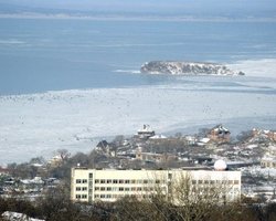Украинцы во Владивостоке голосуют активнее, чем в первом туре