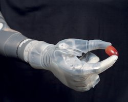 Тренды: с 2015 начнется бум бионических технологий