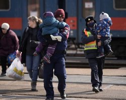 Украинцам в ЕС будет проще найти работу: как изменятся правила трудоустройства