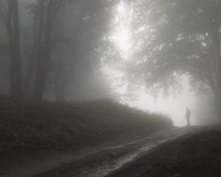 Охота на ведьму. Как потусторонние силы участвуют в избирательных кампаниях